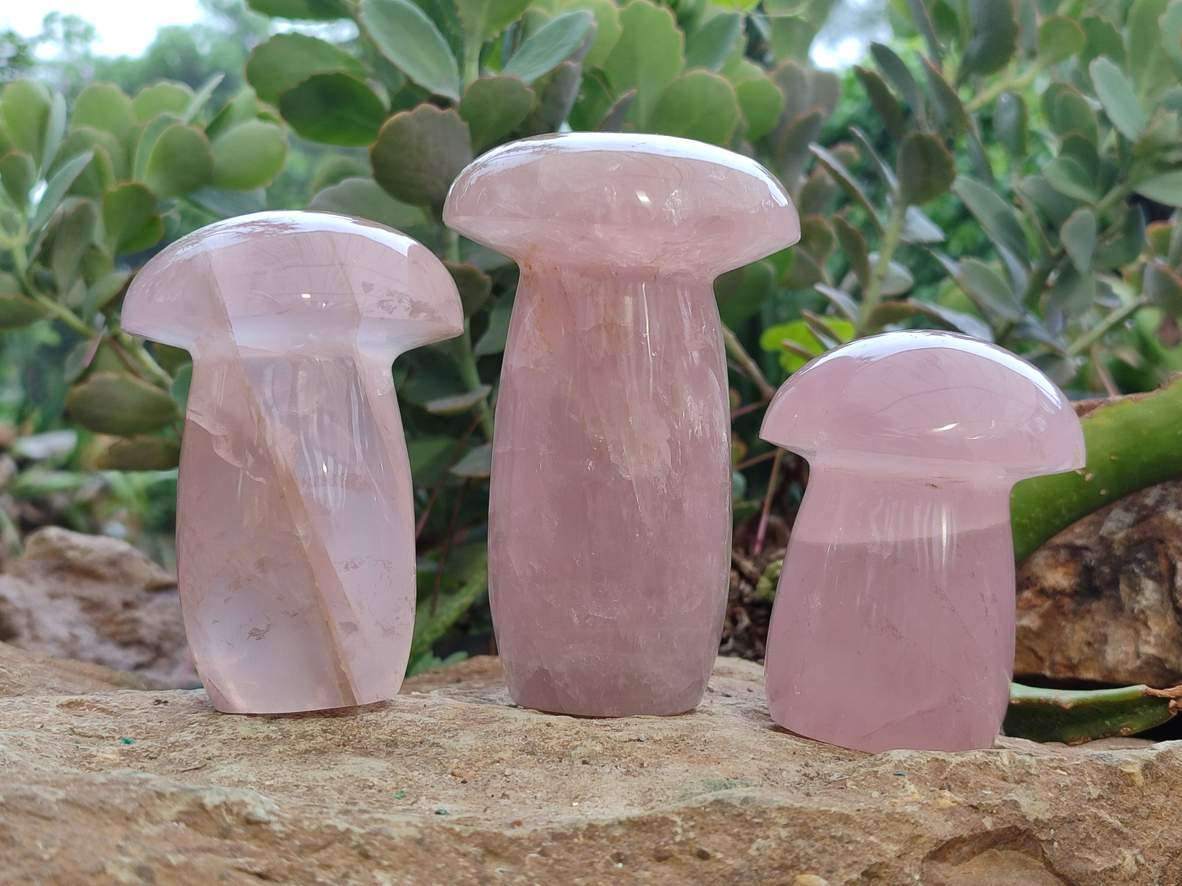 Polished Rose Quartz Mushrooms x 3 From Ambatondrazaka, Madagascar - Toprock Gemstones and Minerals 