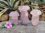 Polished Rose Quartz Mushrooms x 3 From Ambatondrazaka, Madagascar - Toprock Gemstones and Minerals 