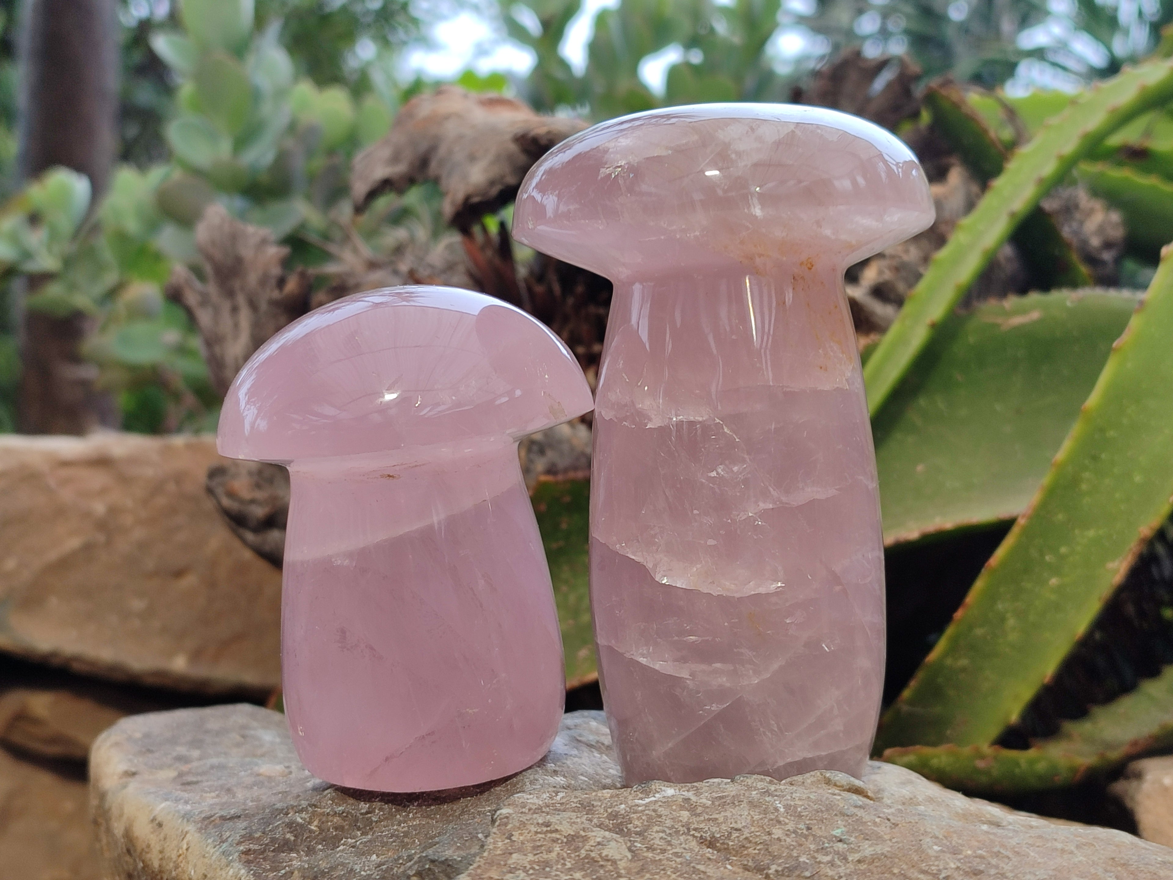 Polished Rose Quartz Mushrooms x 3 From Ambatondrazaka, Madagascar - Toprock Gemstones and Minerals 