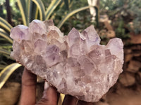 Natural Jacaranda Amethyst Quartz Clusters x 4 From Mumbwa, Zambia