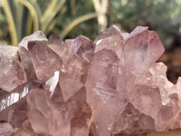 Natural Jacaranda Amethyst Quartz Clusters x 4 From Mumbwa, Zambia