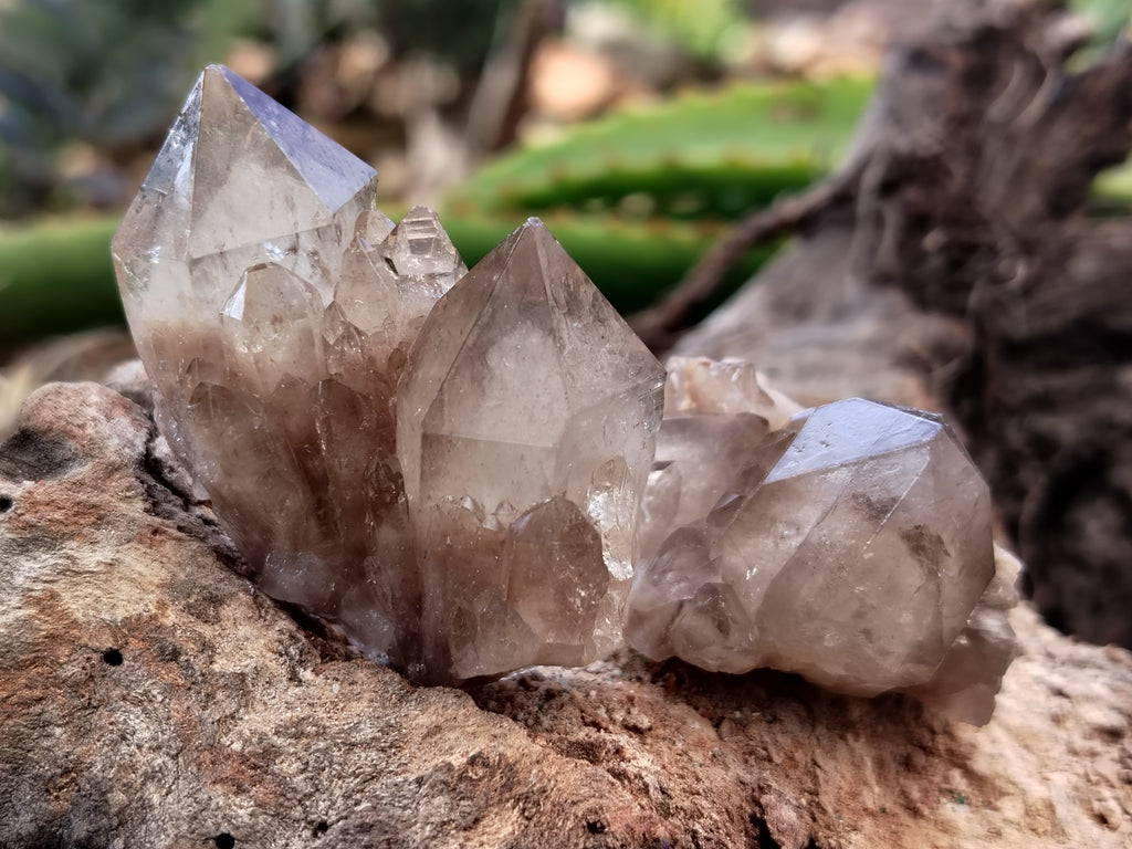 Natural Smokey Phantom Quartz Clusters x 35 From Luena, Congo - Toprock Gemstones and Minerals 