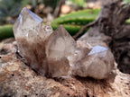 Natural Smokey Phantom Quartz Clusters x 35 From Luena, Congo - Toprock Gemstones and Minerals 