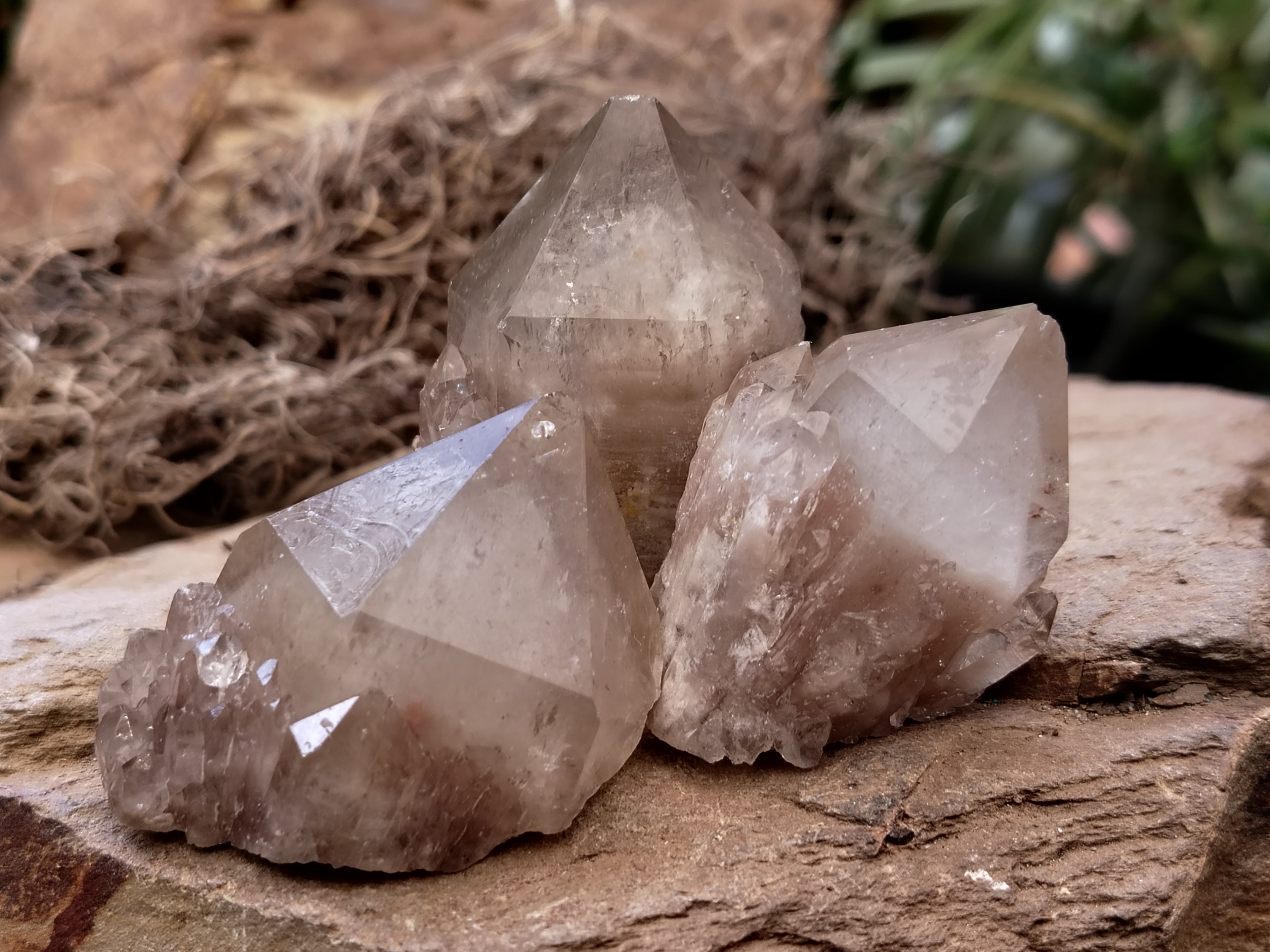 Natural Smokey Phantom Quartz Clusters x 35 From Luena, Congo - Toprock Gemstones and Minerals 