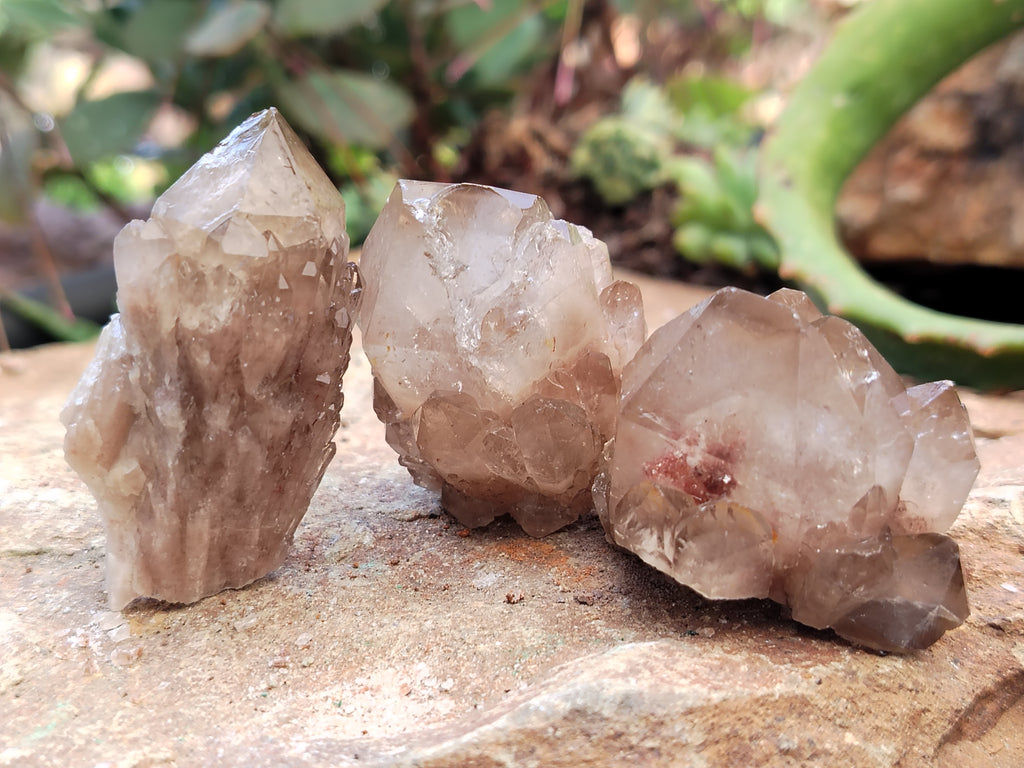 Natural Smokey Phantom Quartz Clusters x 35 From Luena, Congo - Toprock Gemstones and Minerals 