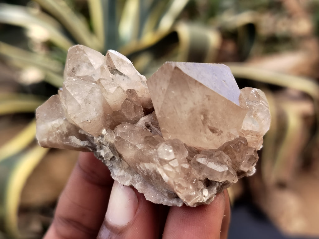 Natural Smokey Phantom Quartz Clusters x 35 From Luena, Congo - Toprock Gemstones and Minerals 