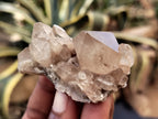 Natural Smokey Phantom Quartz Clusters x 35 From Luena, Congo - Toprock Gemstones and Minerals 