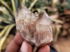 Natural Smokey Phantom Quartz Clusters x 35 From Luena, Congo - Toprock Gemstones and Minerals 