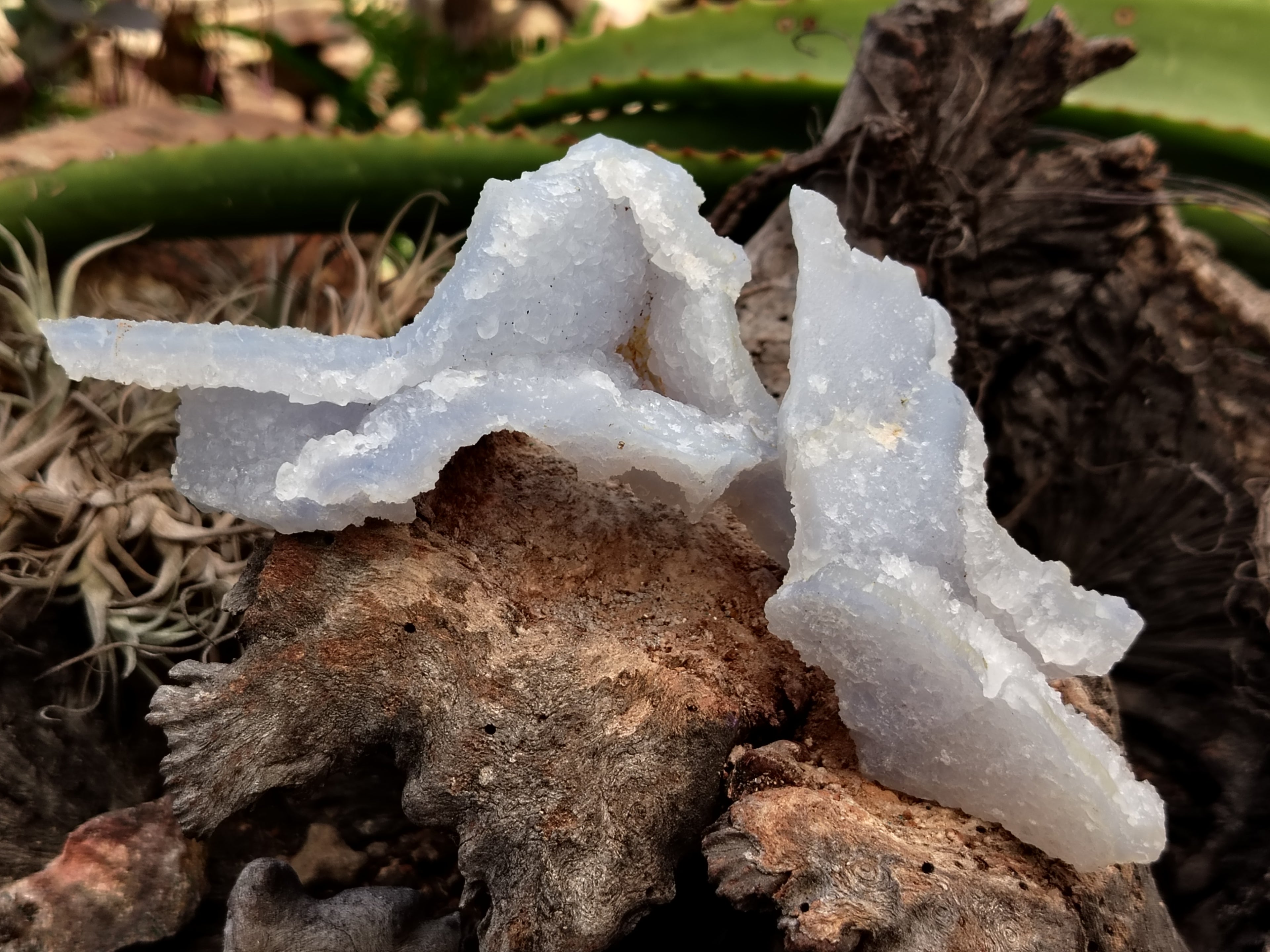 Natural Etched Blue Chalcedony Specimens x 12 From Nsanje, Malawi - Toprock Gemstones and Minerals 
