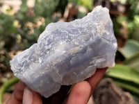 Natural Etched Blue Chalcedony Specimens x 12 From Nsanje, Malawi - Toprock Gemstones and Minerals 