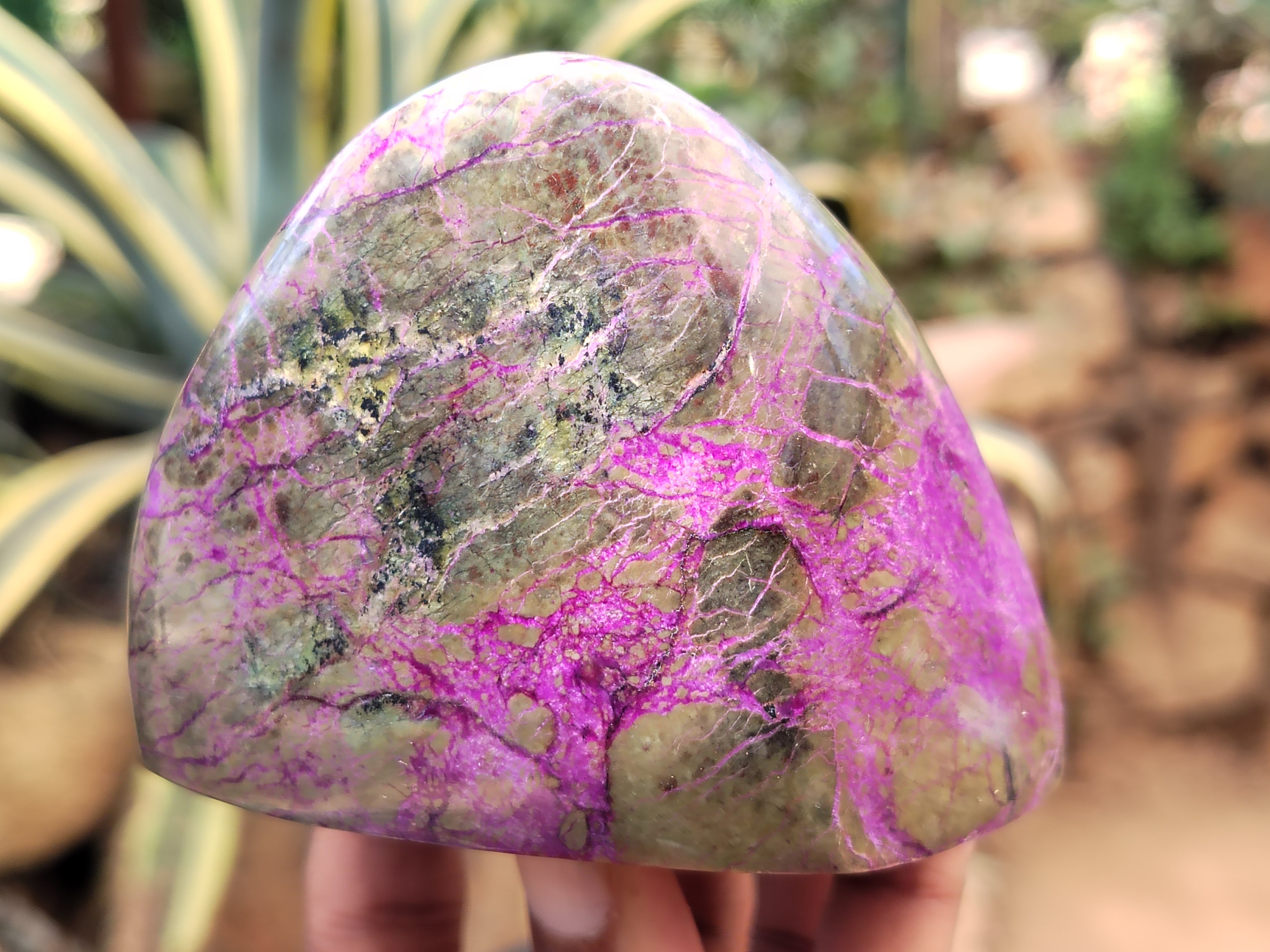 Polished Stichtite Standing Free Forms x 3 From Barberton, South Africa - Toprock Gemstones and Minerals 