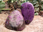 Polished Stichtite Standing Free Forms x 3 From Barberton, South Africa - Toprock Gemstones and Minerals 