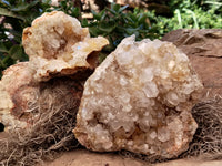 Natural Limonite Quartz Clusters x 2 From Solwezi, Zambia - Toprock Gemstones and Minerals 