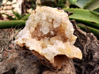 Natural Limonite Quartz Clusters x 2 From Solwezi, Zambia - Toprock Gemstones and Minerals 