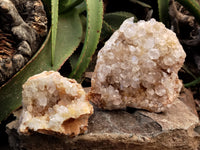 Natural Limonite Quartz Clusters x 2 From Solwezi, Zambia - Toprock Gemstones and Minerals 