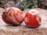 Polished Carnelian Palm Stones x 16 From Madagascar - Toprock Gemstones and Minerals 
