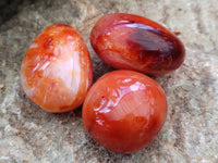 Polished Carnelian Palm Stones x 16 From Madagascar - Toprock Gemstones and Minerals 
