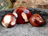 Polished Carnelian Palm Stones x 16 From Madagascar - Toprock Gemstones and Minerals 