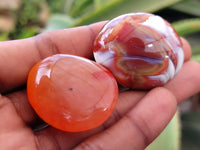 Polished Carnelian Palm Stones x 16 From Madagascar - Toprock Gemstones and Minerals 