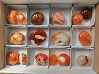 Polished Carnelian Palm Stones x 16 From Madagascar - Toprock Gemstones and Minerals 