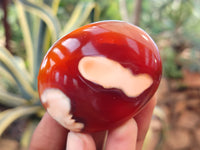 Polished Carnelian Palm Stones x 16 From Madagascar - Toprock Gemstones and Minerals 