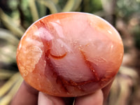 Polished Carnelian Palm Stones x 16 From Madagascar - Toprock Gemstones and Minerals 