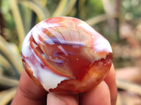 Polished Carnelian Palm Stones x 16 From Madagascar - Toprock Gemstones and Minerals 
