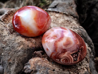 Polished Carnelian Palm Stones x 16 From Madagascar - Toprock Gemstones and Minerals 