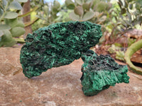 Natural Silky Malachite Specimens x 3 From Kasompe, Congo - Toprock Gemstones and Minerals 