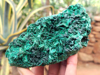 Natural Silky Malachite Specimens x 3 From Kasompe, Congo - Toprock Gemstones and Minerals 