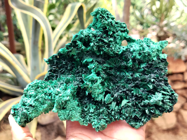 Natural Silky Malachite Specimens x 3 From Kasompe, Congo - Toprock Gemstones and Minerals 