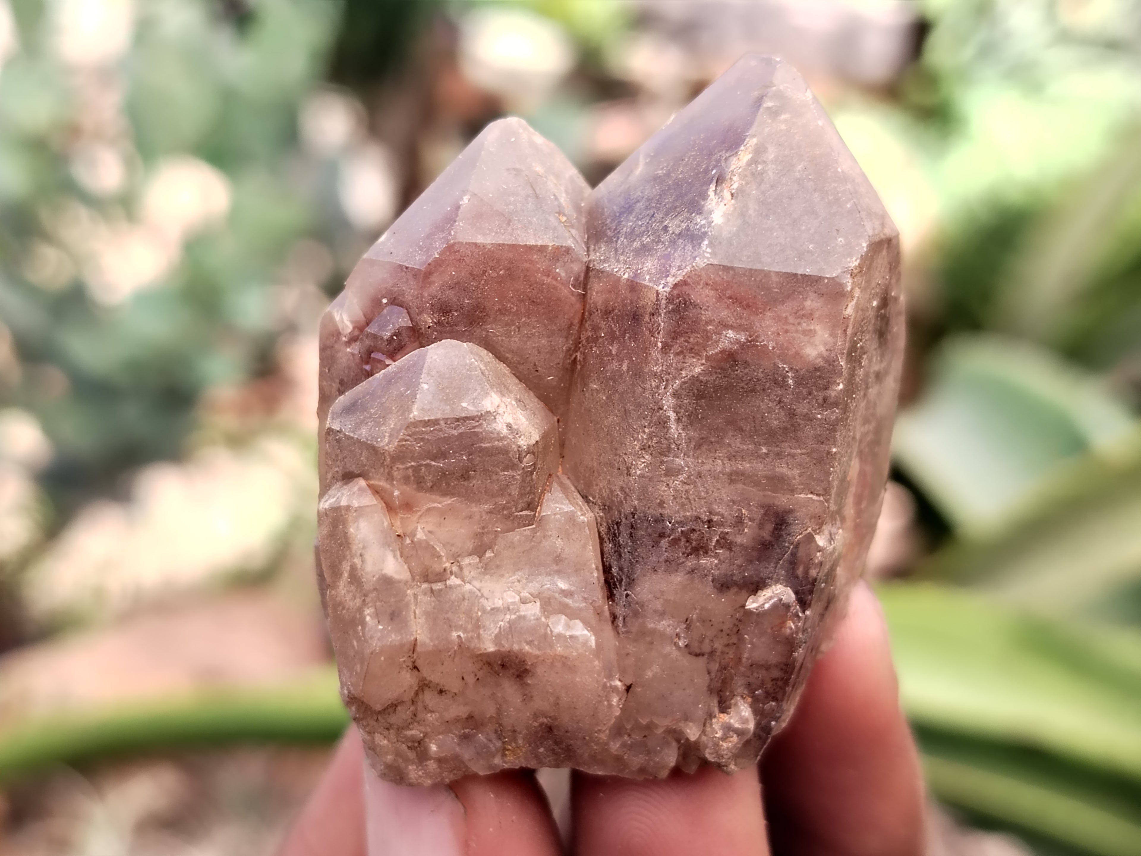 Natural Mixed Quartz Specimens x 24 From Southern Africa - Toprock Gemstones and Minerals 