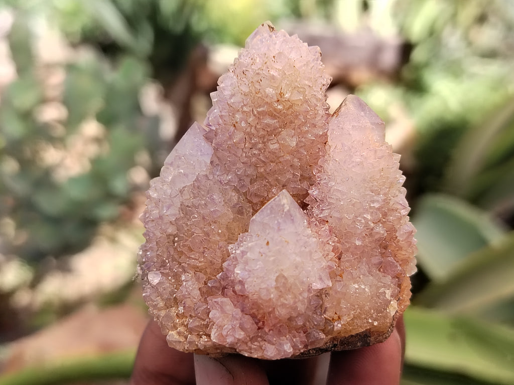 Natural Mixed Quartz Specimens x 24 From Southern Africa - Toprock Gemstones and Minerals 