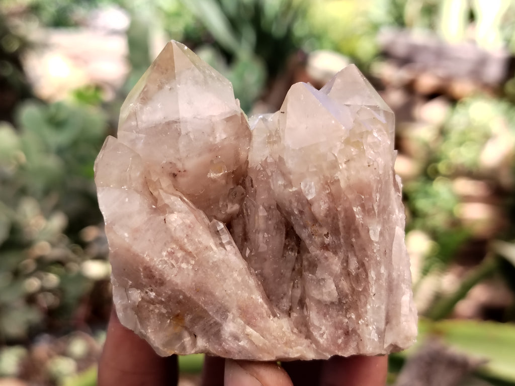 Natural Mixed Quartz Specimens x 24 From Southern Africa - Toprock Gemstones and Minerals 