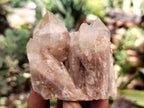 Natural Mixed Quartz Specimens x 24 From Southern Africa - Toprock Gemstones and Minerals 