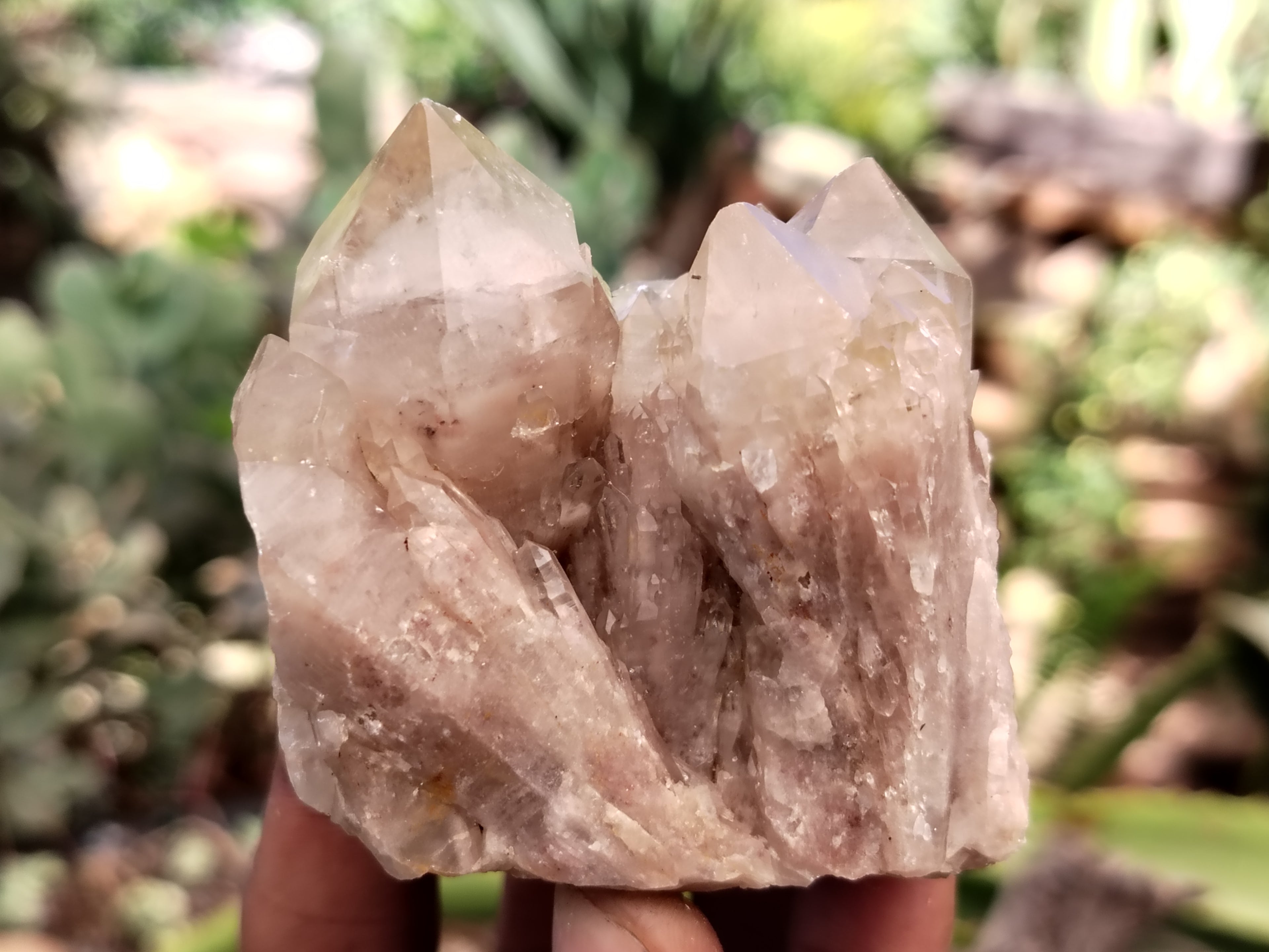 Natural Mixed Quartz Specimens x 24 From Southern Africa - Toprock Gemstones and Minerals 
