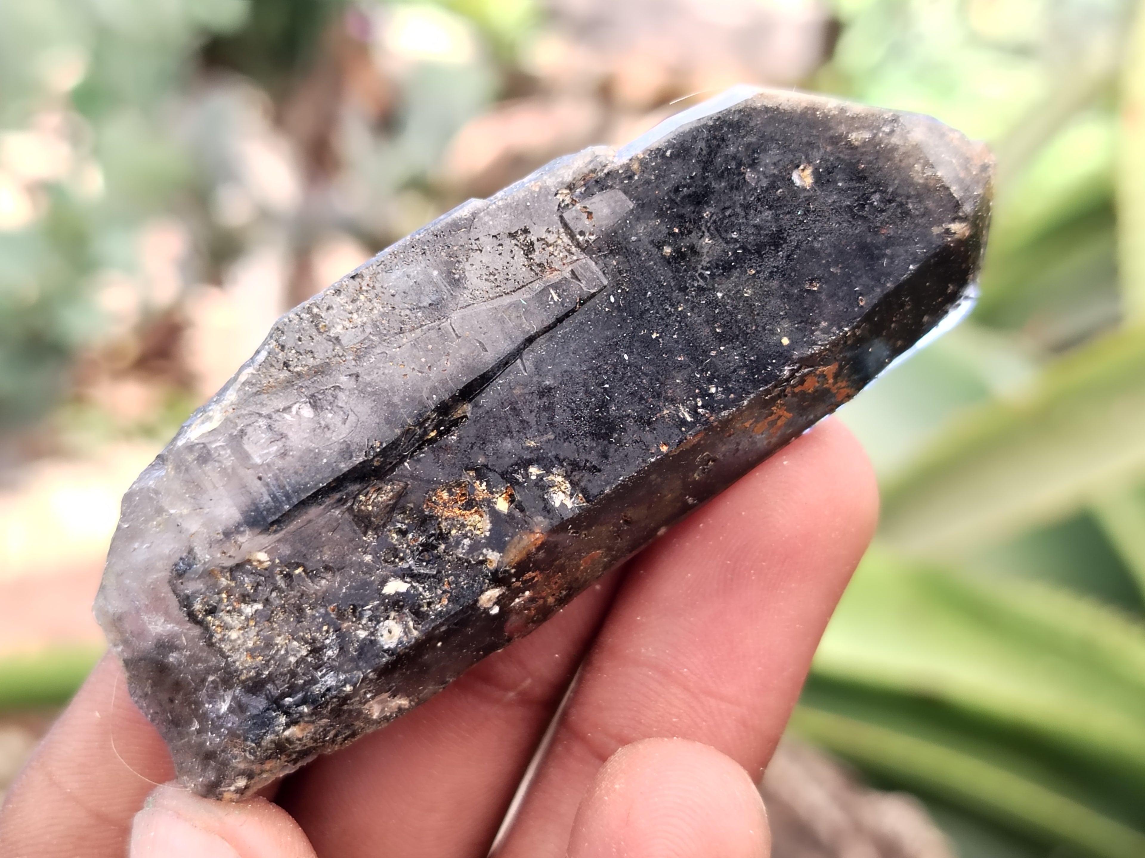 Natural Mixed Quartz Specimens x 24 From Southern Africa - Toprock Gemstones and Minerals 