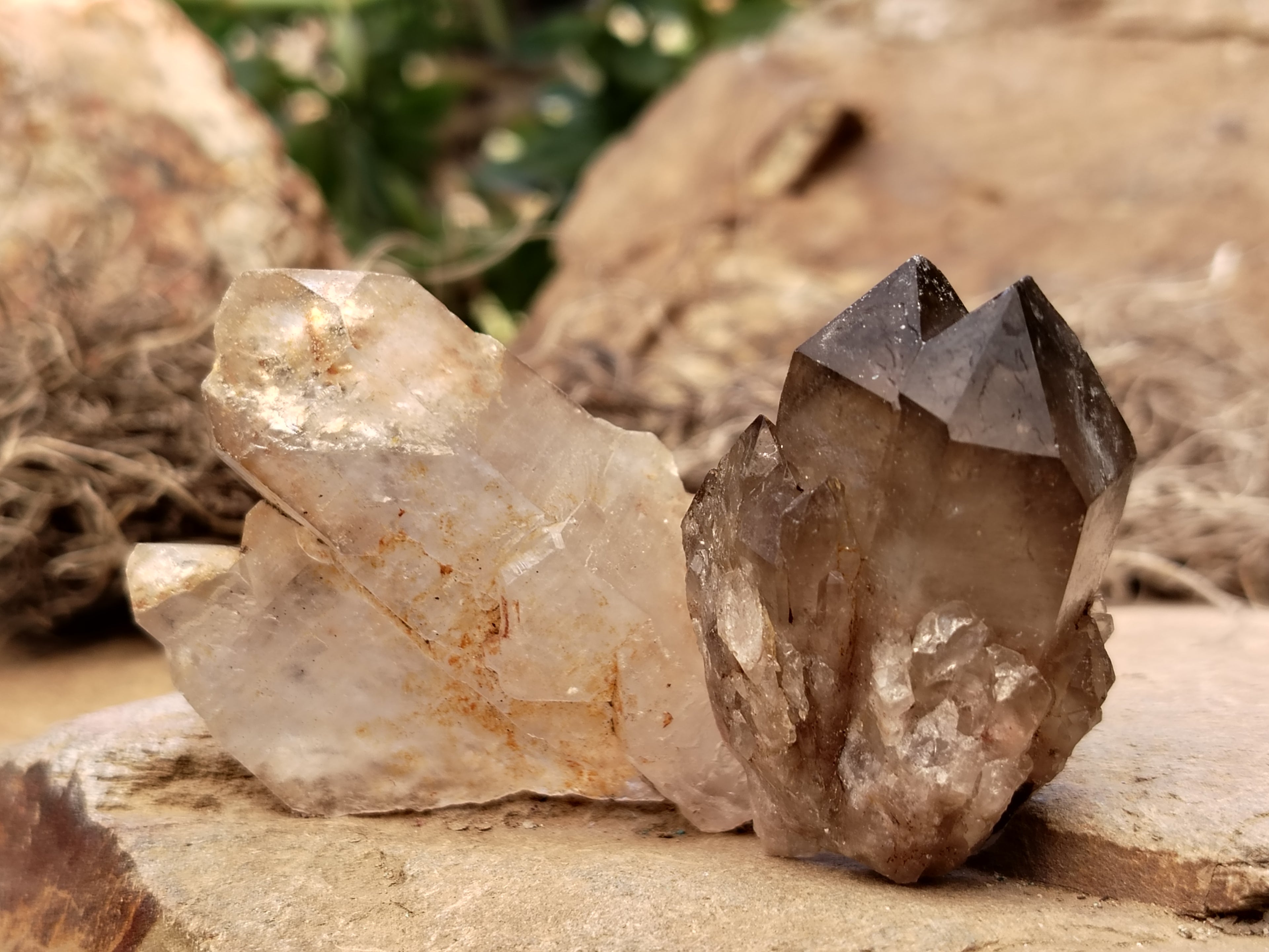 Natural Mixed Quartz Specimens x 24 From Southern Africa - Toprock Gemstones and Minerals 