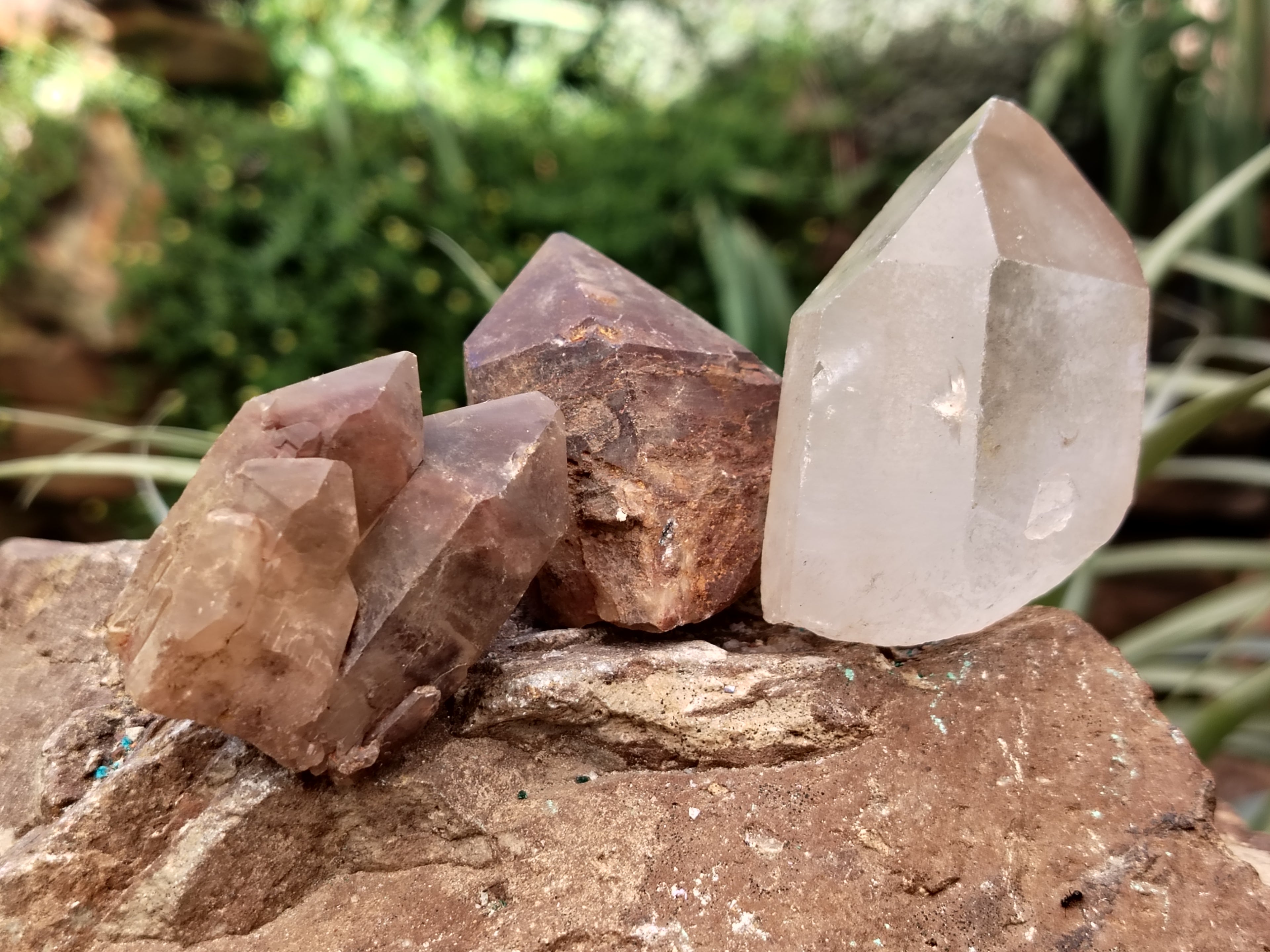 Natural Mixed Quartz Specimens x 24 From Southern Africa - Toprock Gemstones and Minerals 