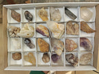 Natural Mixed Quartz Specimens x 24 From Southern Africa - Toprock Gemstones and Minerals 