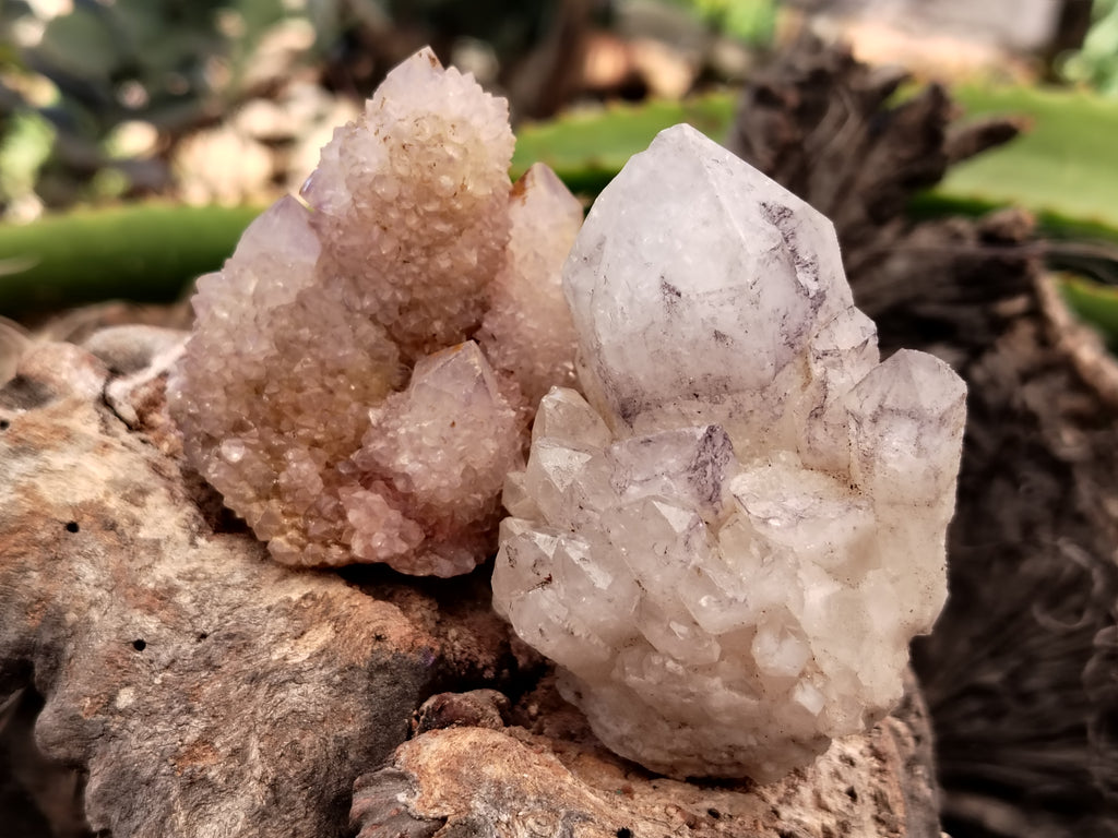 Natural Mixed Quartz Specimens x 24 From Southern Africa - Toprock Gemstones and Minerals 