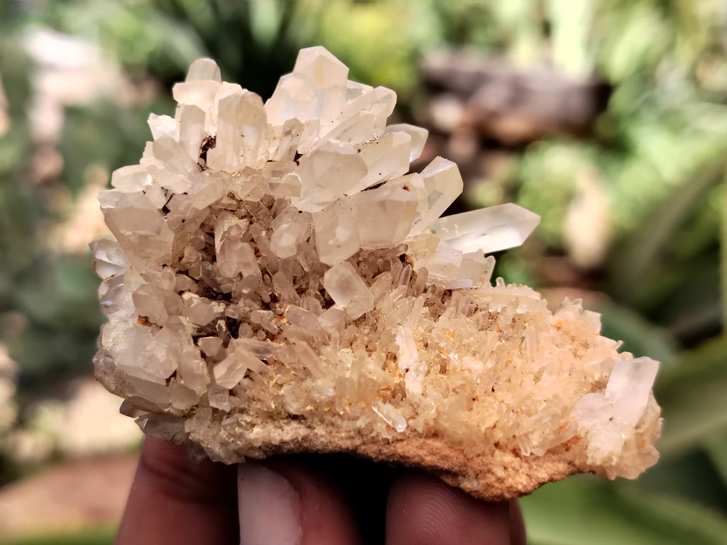 Natural Mixed Quartz Specimens x 24 From Southern Africa - Toprock Gemstones and Minerals 