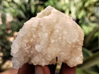Natural Mixed Quartz Specimens x 24 From Southern Africa - Toprock Gemstones and Minerals 