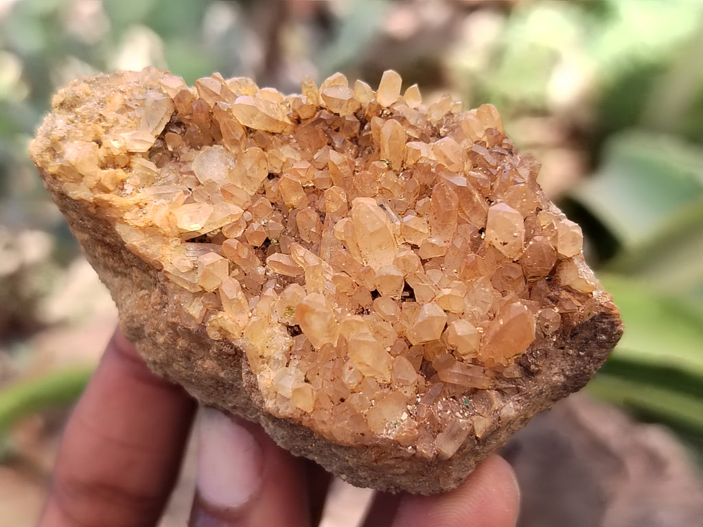Natural Mixed Quartz Specimens x 24 From Southern Africa - Toprock Gemstones and Minerals 