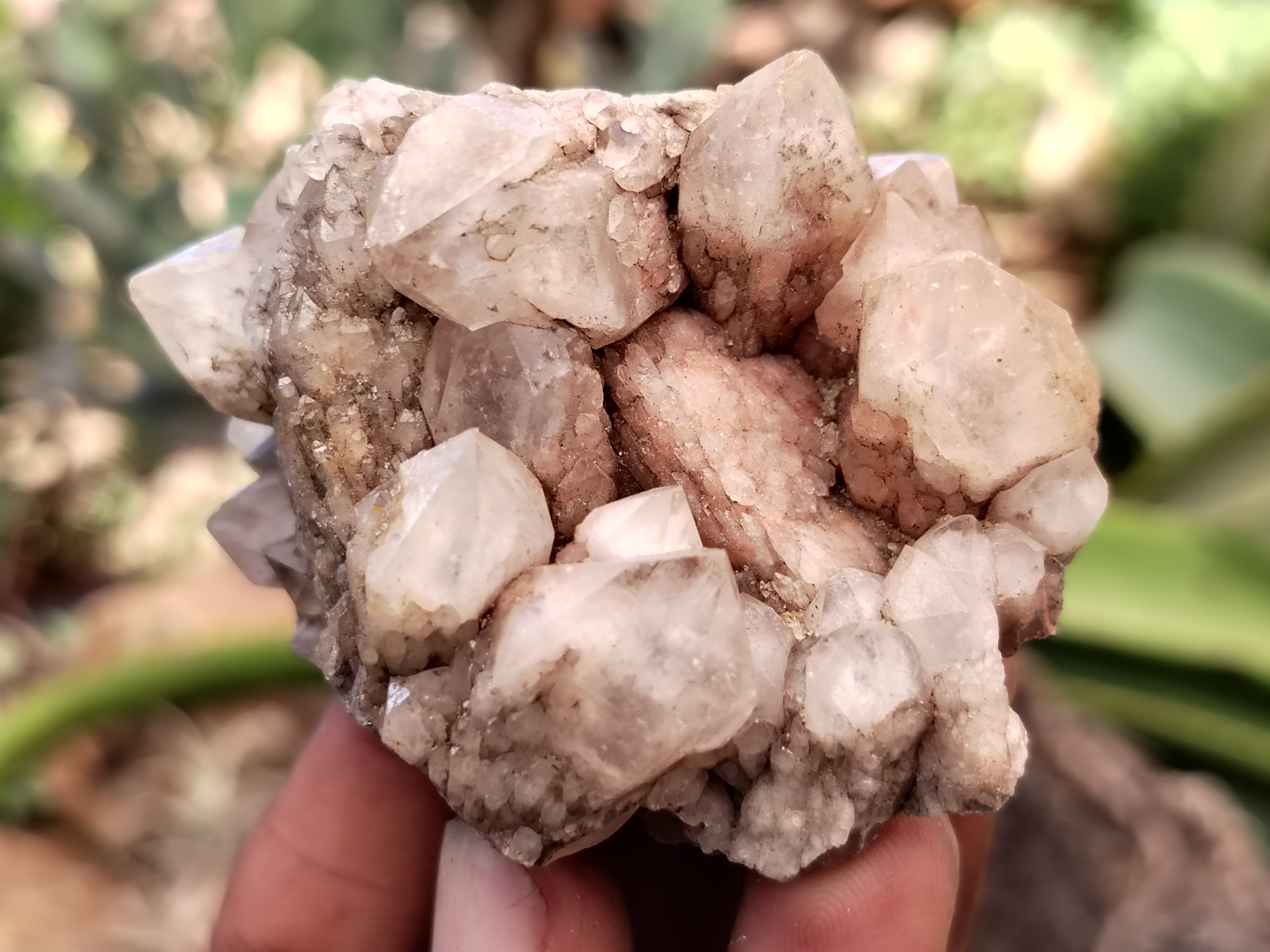 Natural Mixed Quartz Specimens x 24 From Southern Africa - Toprock Gemstones and Minerals 