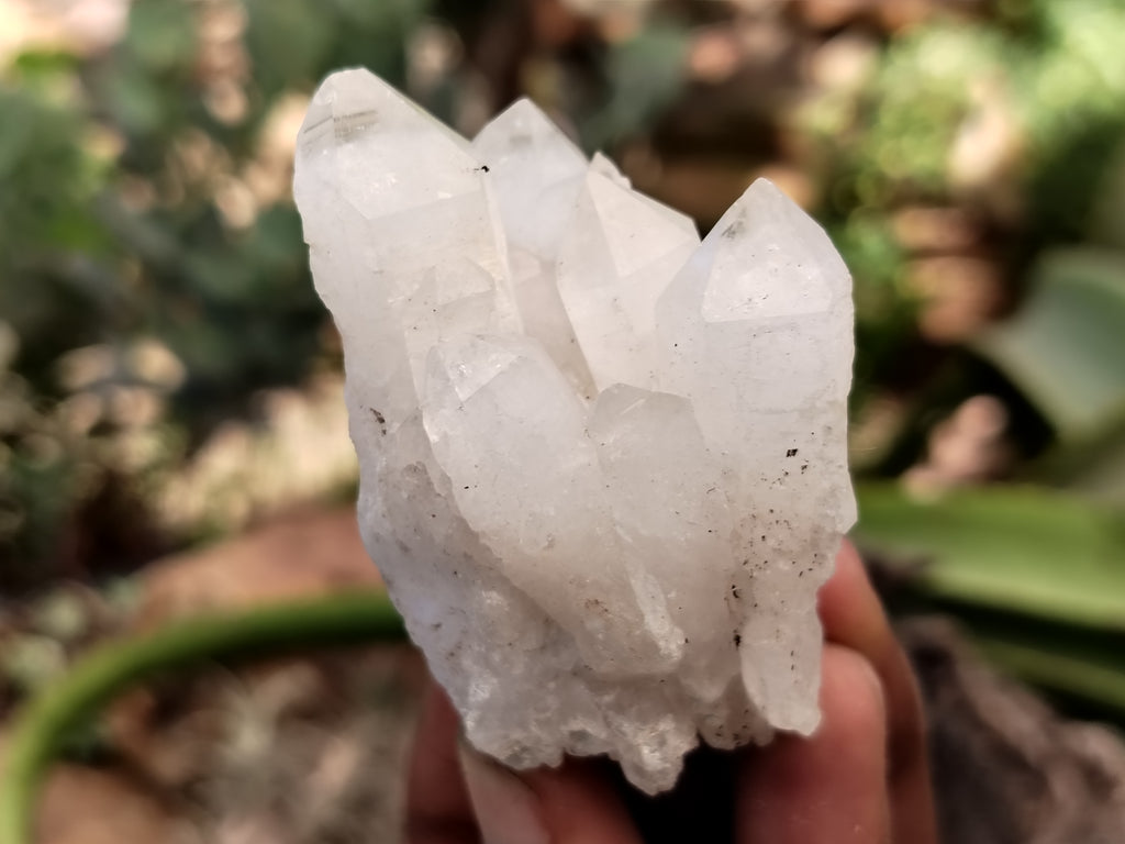 Natural Mixed Quartz Specimens x 24 From Southern Africa - Toprock Gemstones and Minerals 