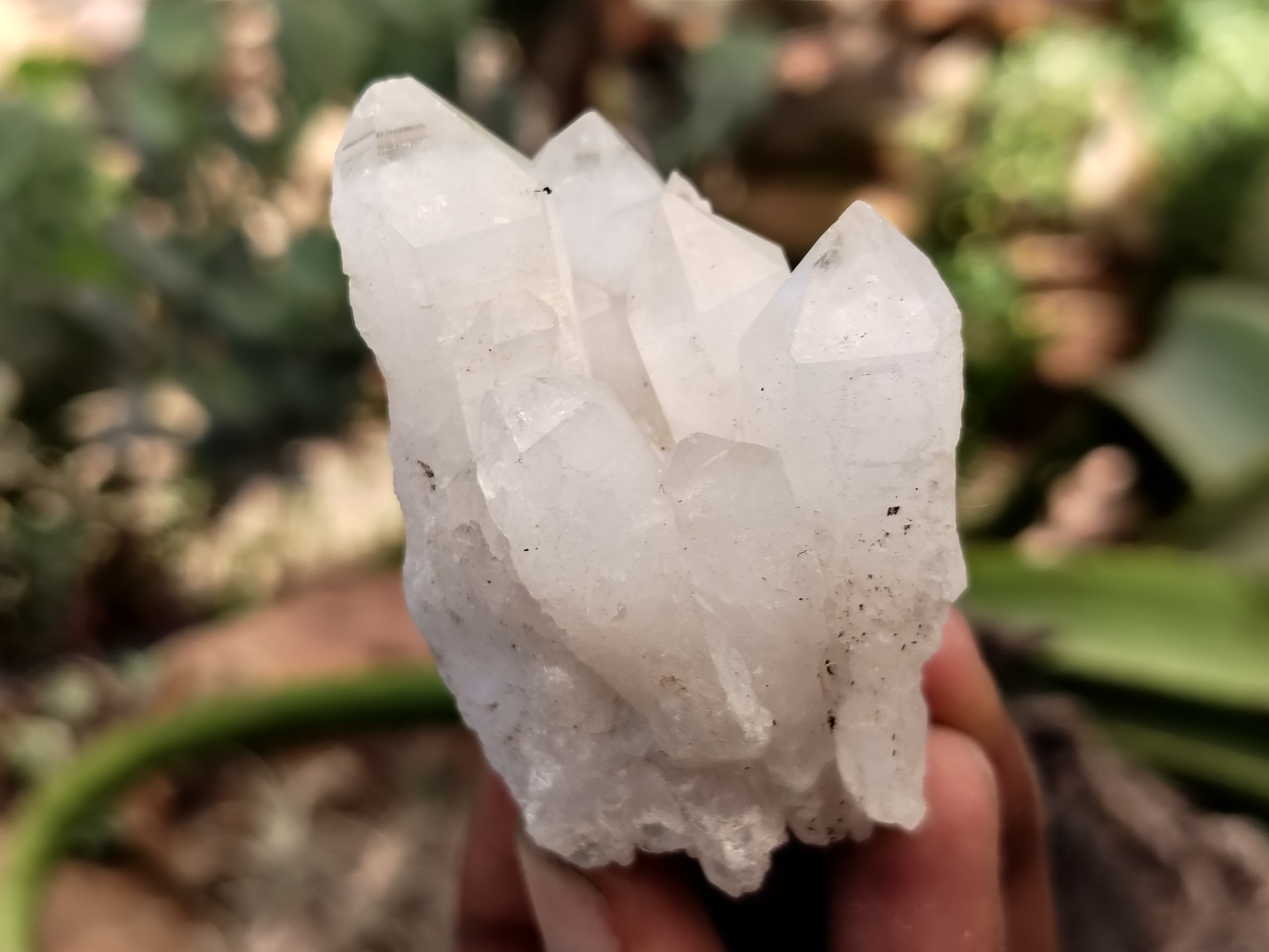 Natural Mixed Quartz Specimens x 24 From Southern Africa - Toprock Gemstones and Minerals 