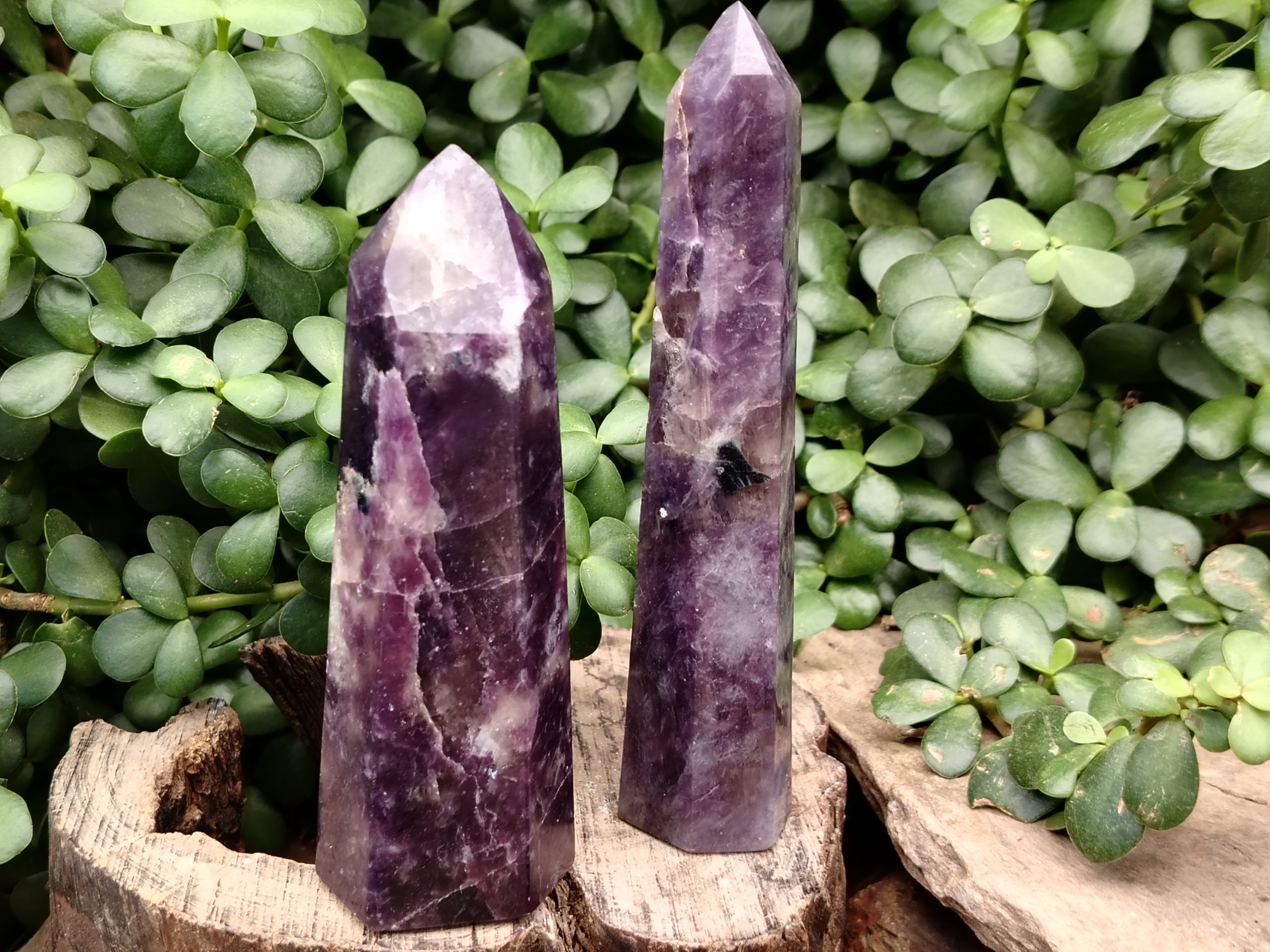 Polished Lepidolite with Pink Rubellite Points x 4 From Ambatondrazaka, Madagascar - Toprock Gemstones and Minerals 