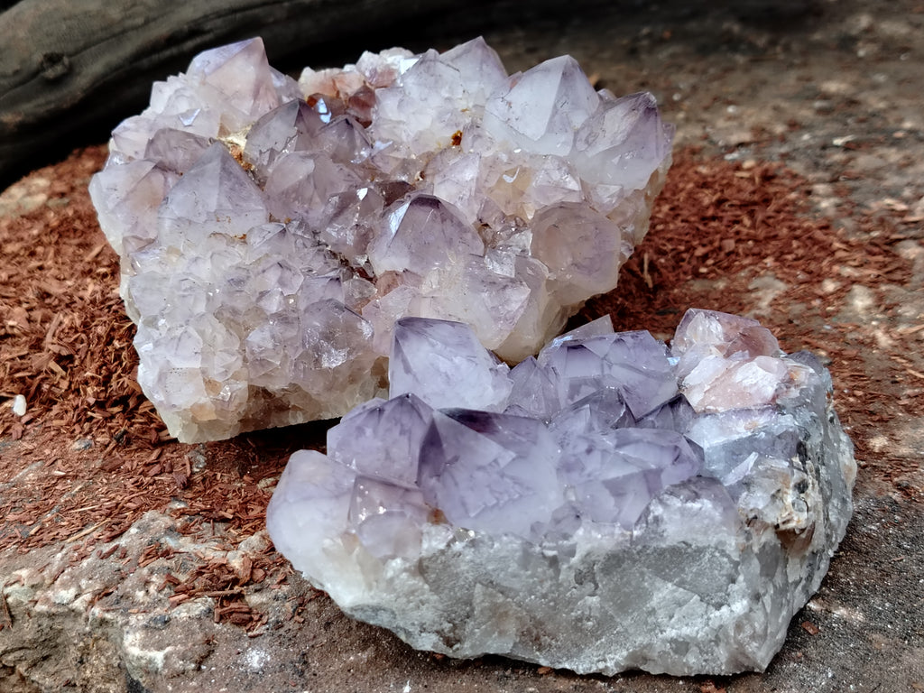 Natural Dark Purple Cactus Spirit Quartz Clusters x 3 From South Africa - Toprock Gemstones and Minerals 
