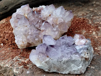 Natural Dark Purple Cactus Spirit Quartz Clusters x 3 From South Africa